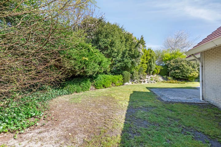 Foto 34 van Stormvogel 24