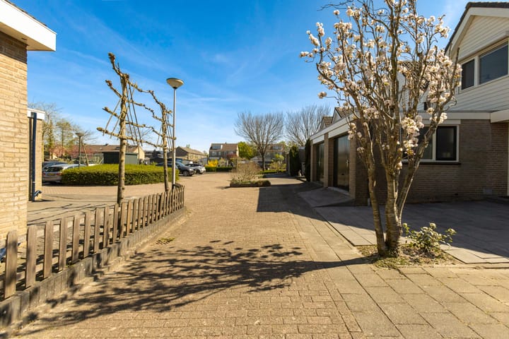 Foto 35 van Kompas 10