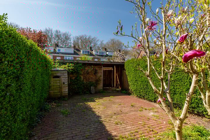 Foto 31 van Lijsterlaan 34