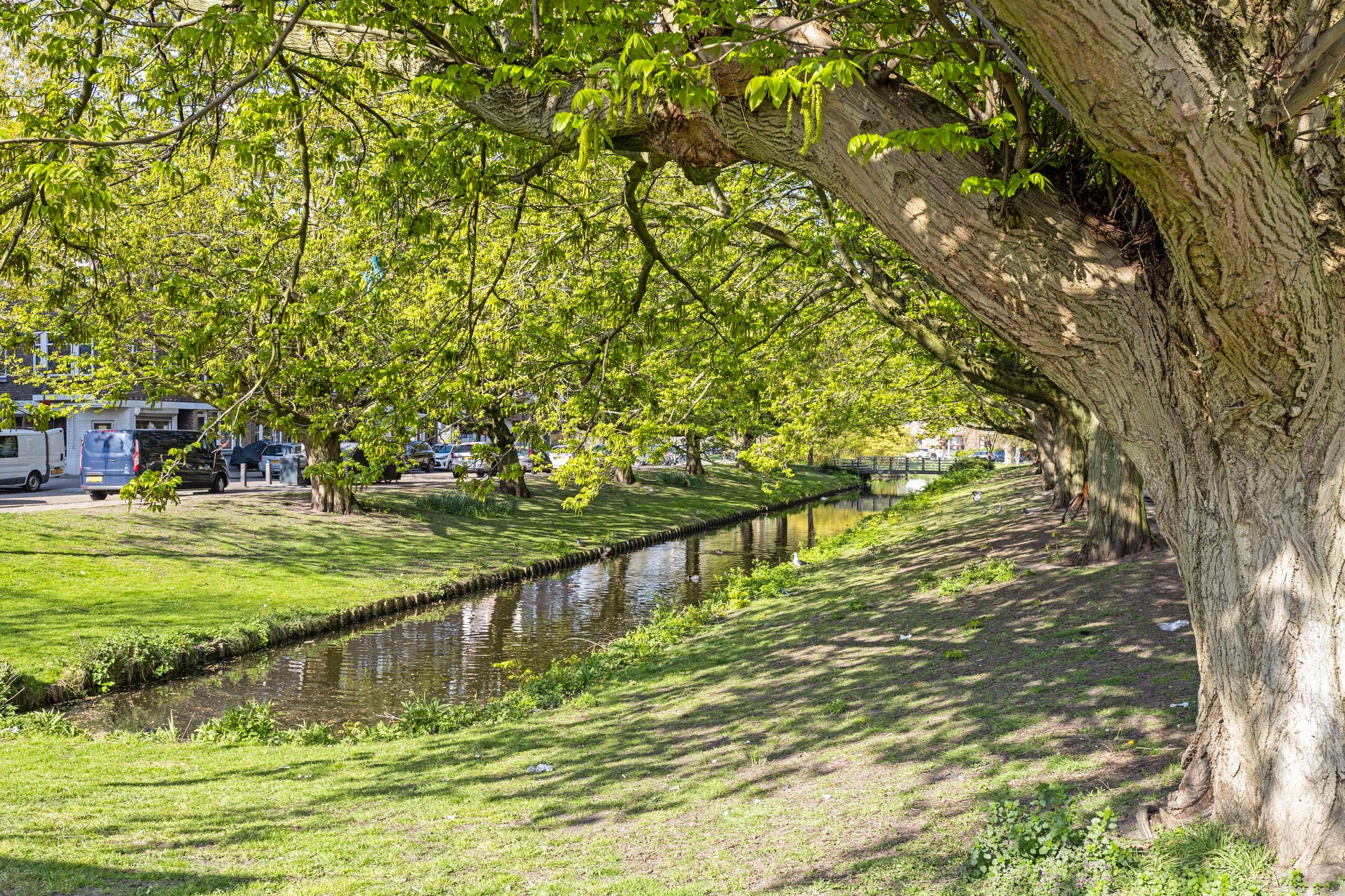 Photo 24 of Boerhaavelaan 75-A