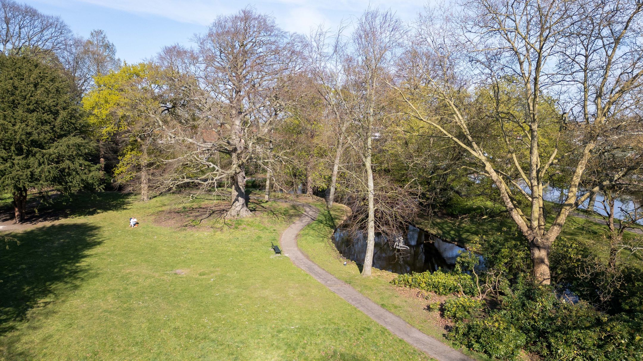 Photo 39 of Hofwijckstraat 32