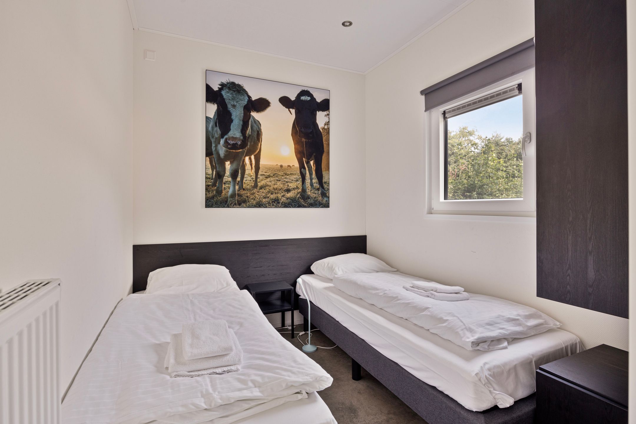 Foto 15 van Traasweg 5-M25