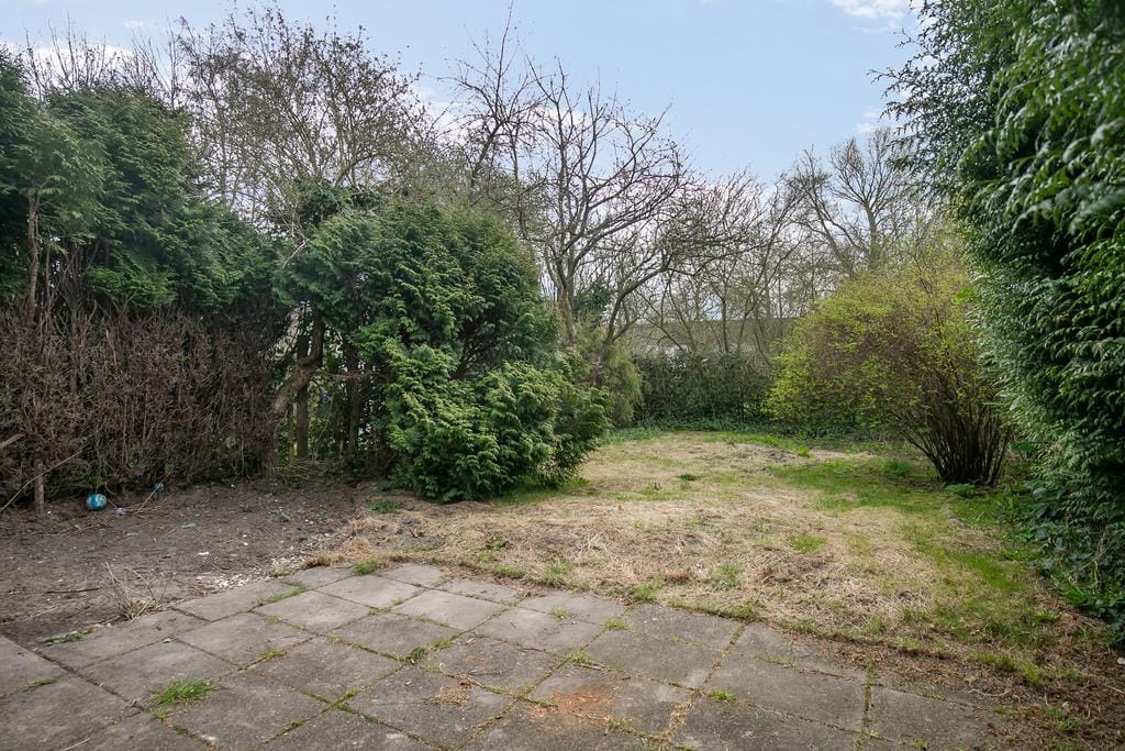 Foto 19 van Zenegroen 144