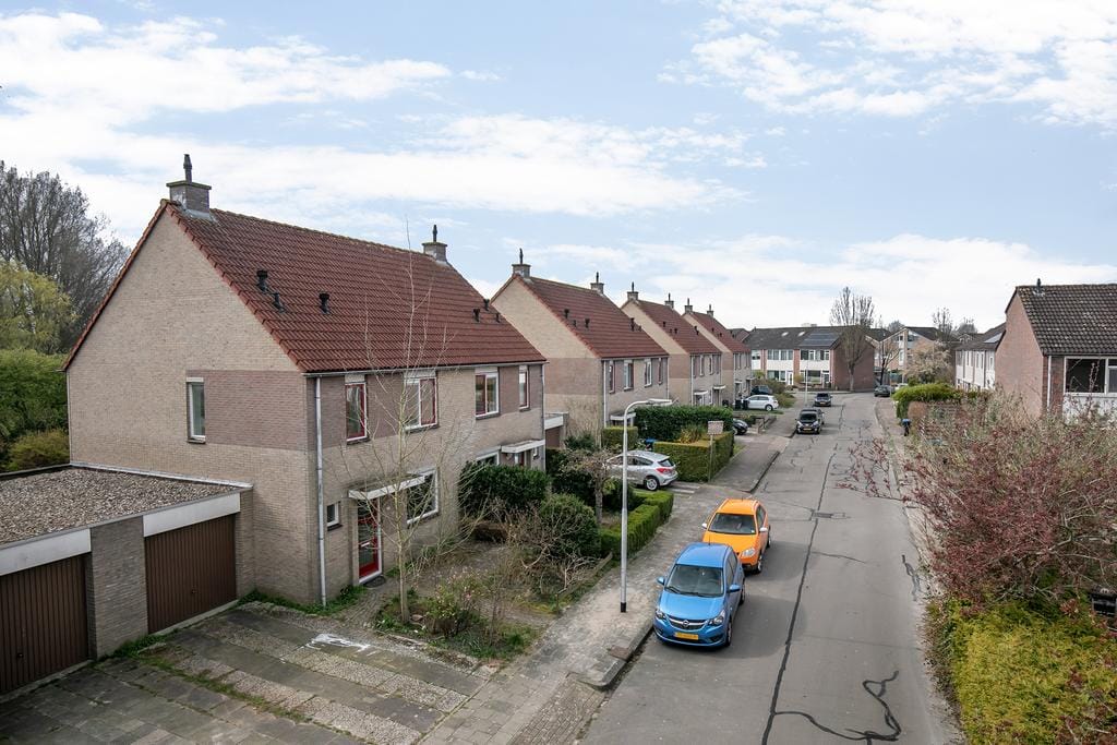 Foto 25 van Zenegroen 144