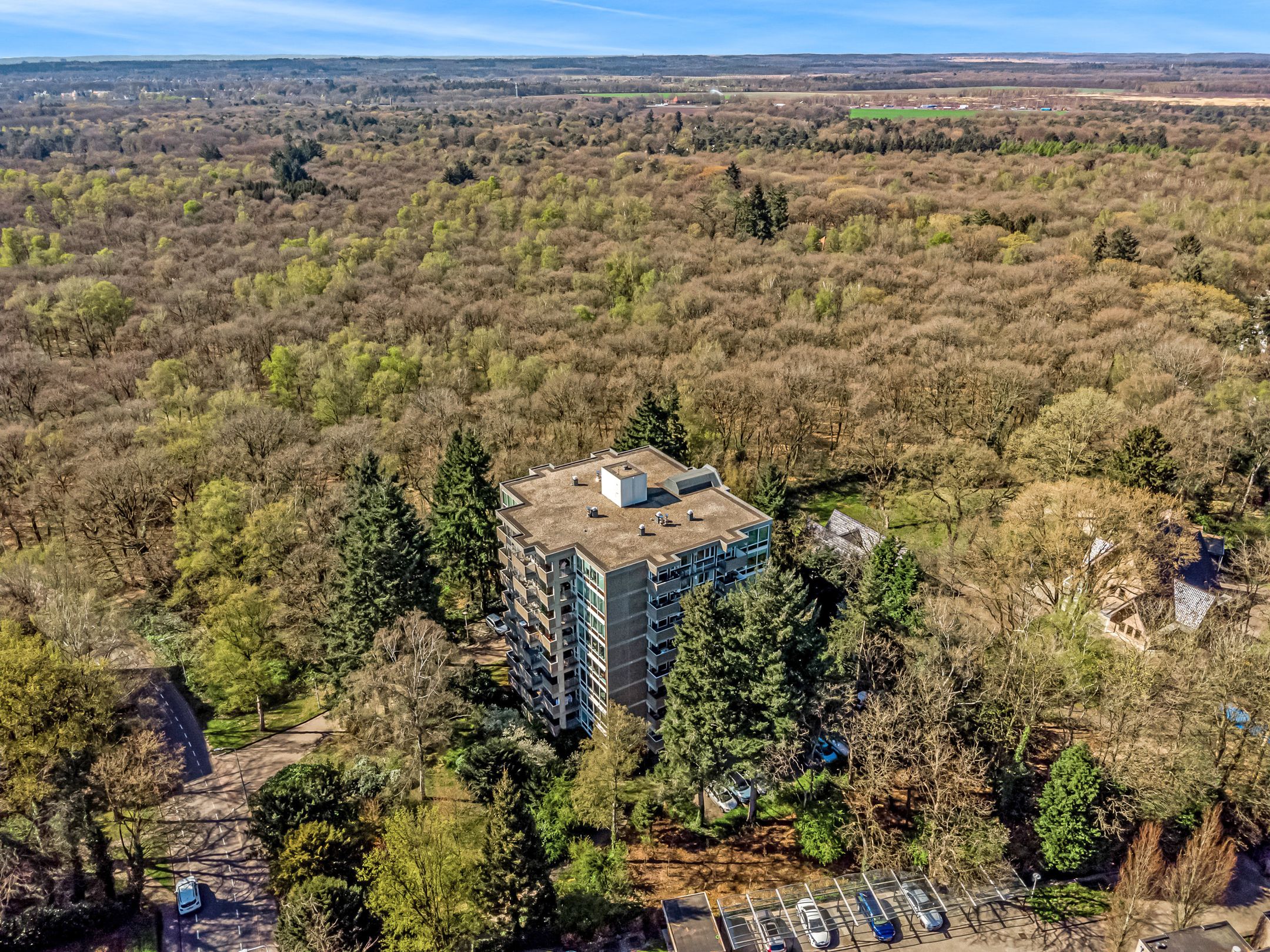 Foto 3 van Reigersberg 30