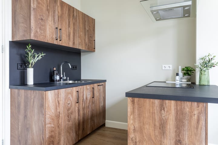 Foto 6 van Regentesselaan 255-B