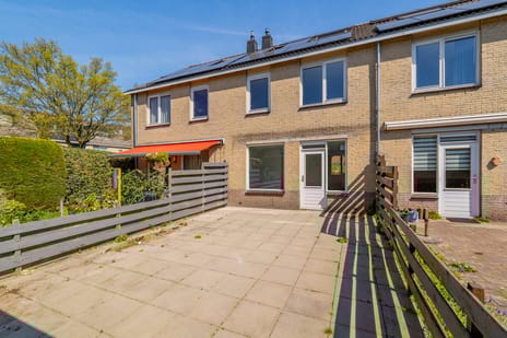 undefined main image