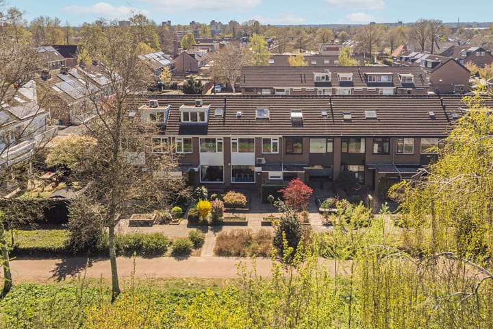 Foto 36 van Vingergras 12