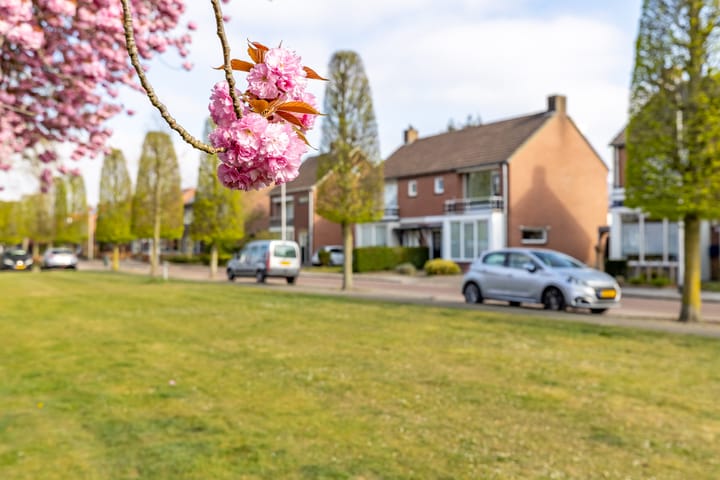 Foto 37 van Vincent van Goghstraat 14