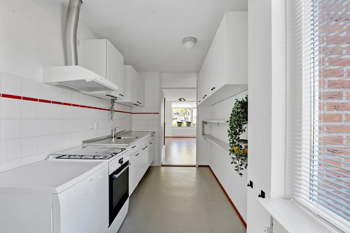 Foto 11 van de Lei 6