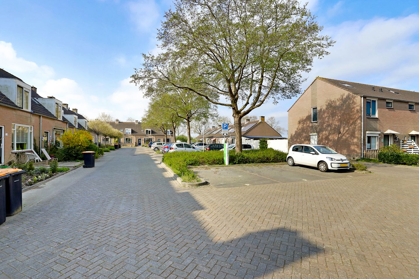 Foto 34 van de Lei 6