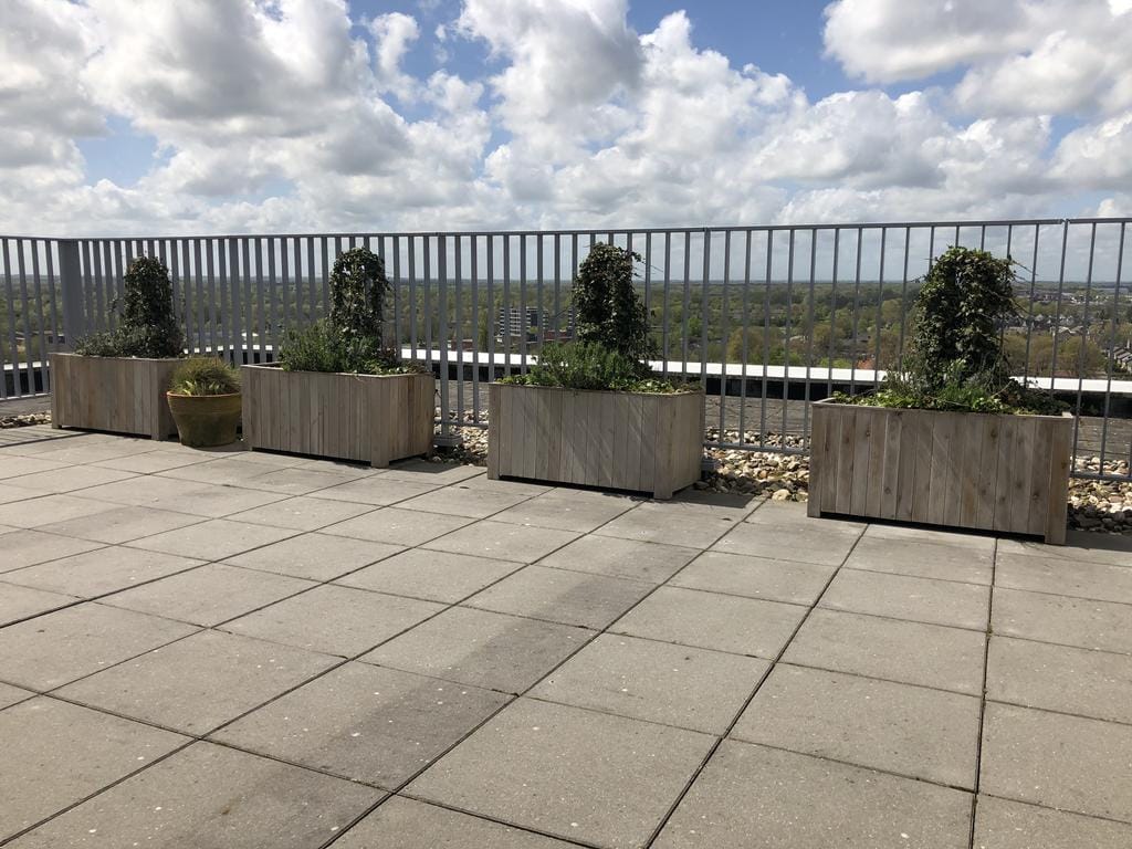 Foto 7 van Raadhuisplein 362