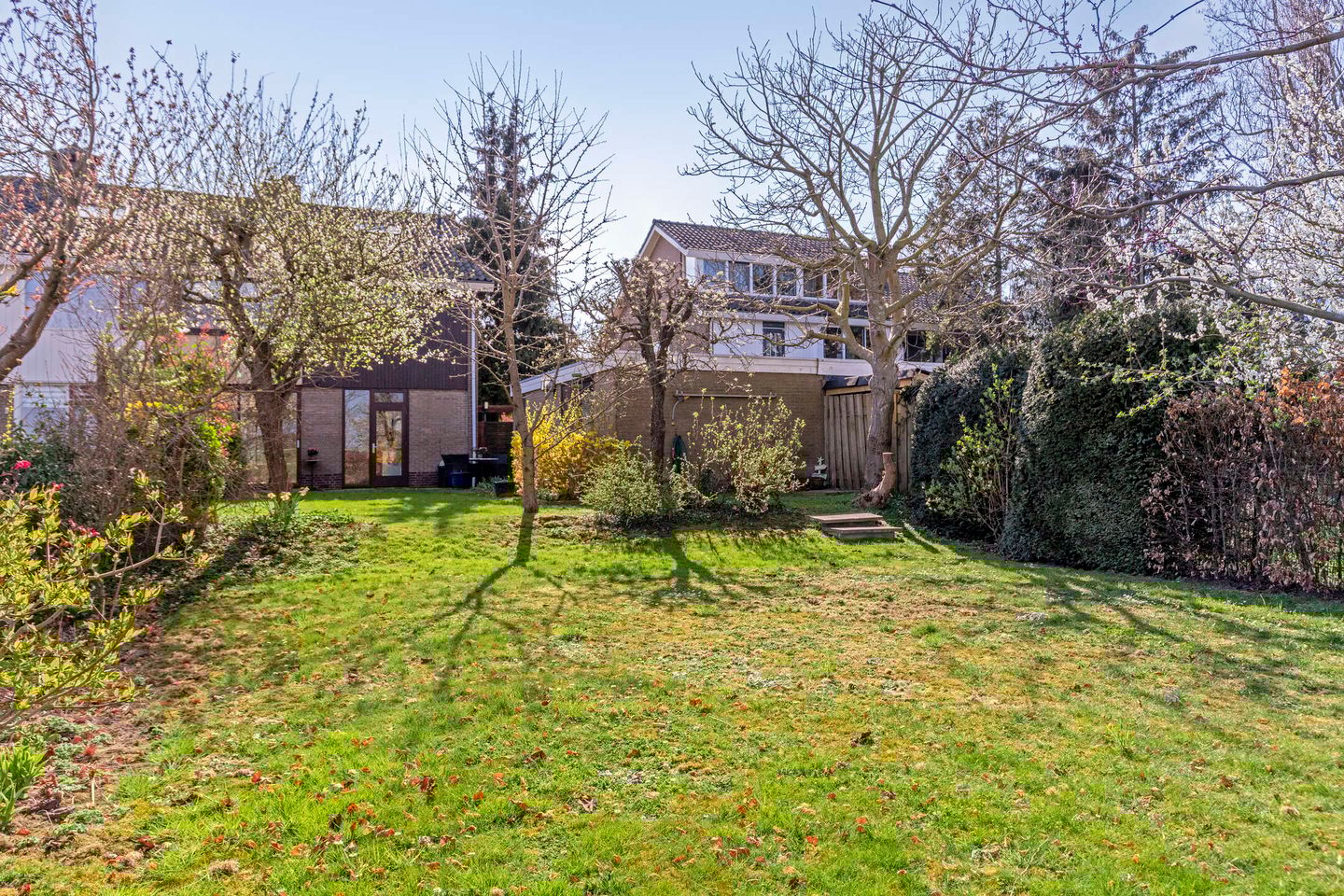 Foto 29 van Tarwestraat 21