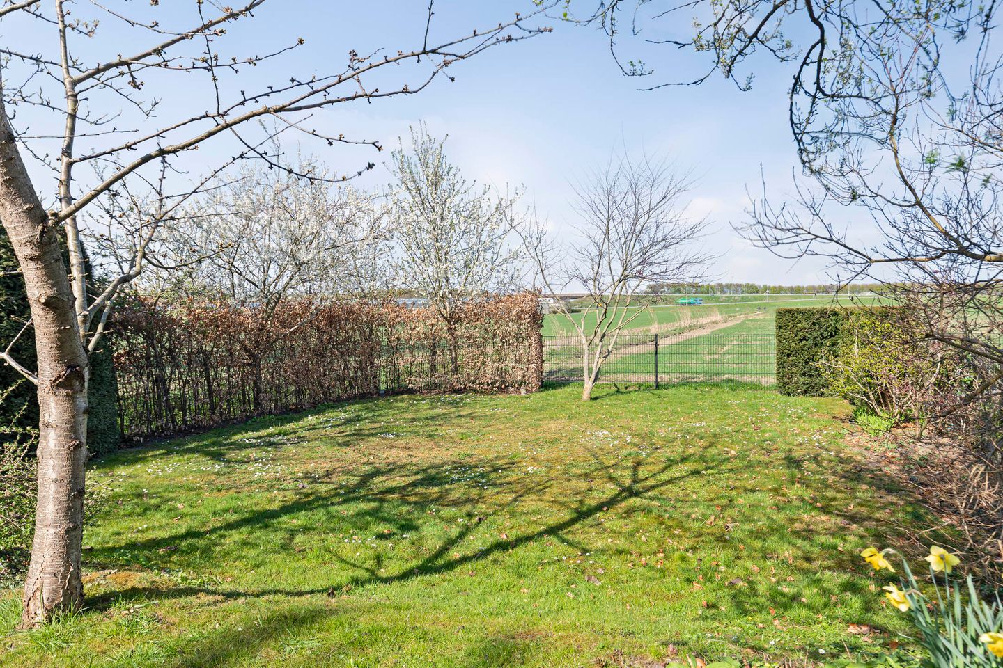 Foto 34 van Tarwestraat 21