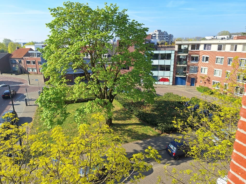 Foto 14 van Pastoor Sickingstraat 126