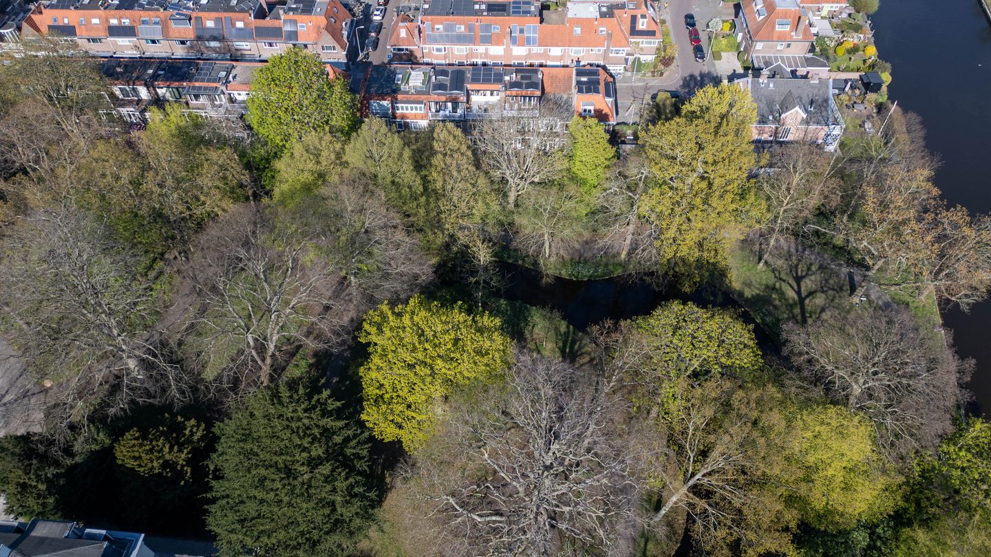 Photo 40 of Hofwijckstraat 32