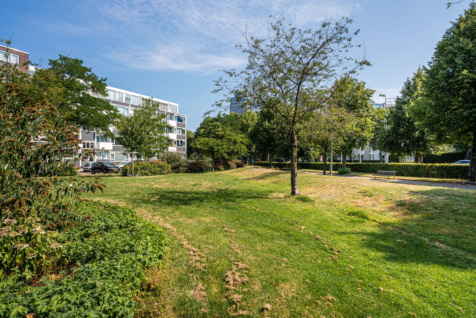 Photo 27 of Uiterwaardenstraat 5-2