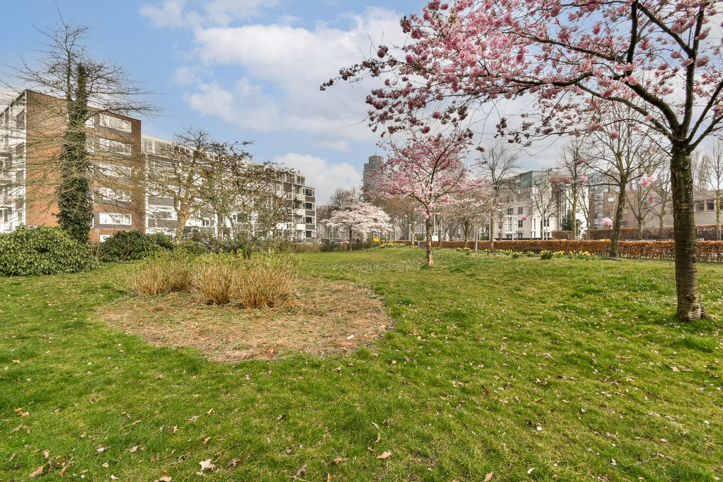 Photo 29 of Uiterwaardenstraat 5-2