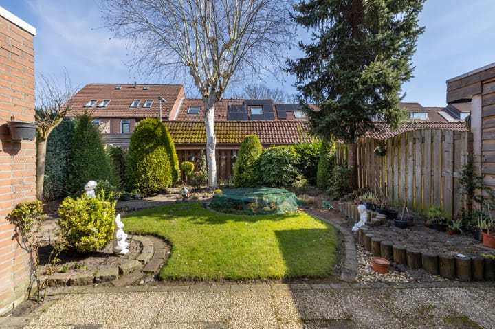 Foto 17 van De Buizerd 50