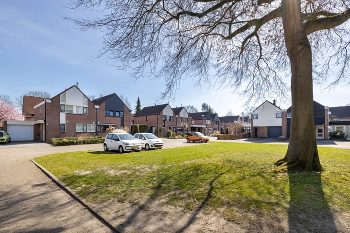 Foto 22 van De Buizerd 50