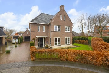 Hoornbloem thumbnail