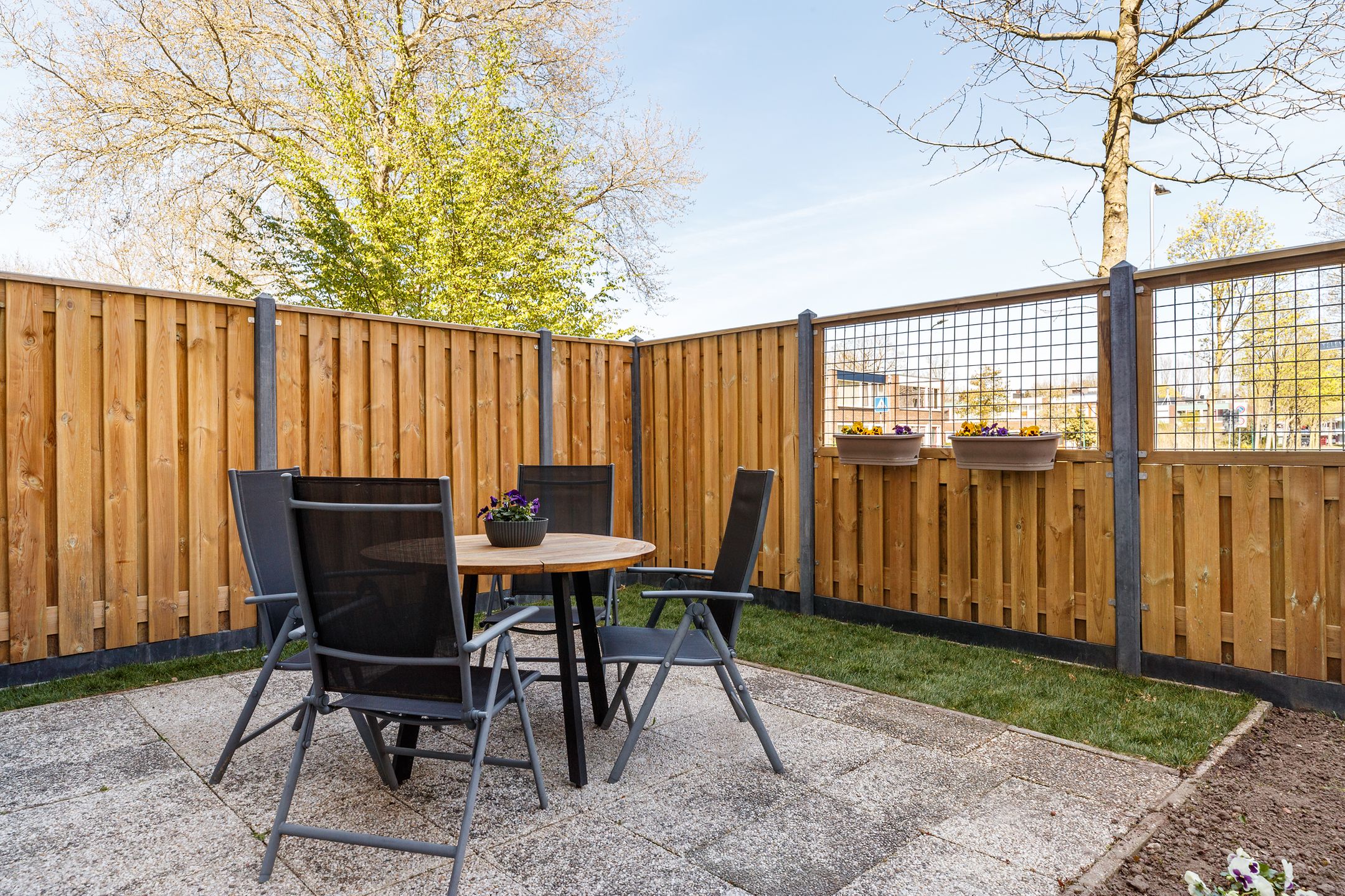 Photo 12 of Stereoplein 21