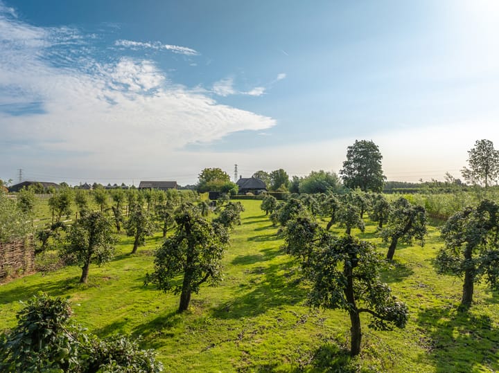 Foto 4 van Uilenburgsestraat 49