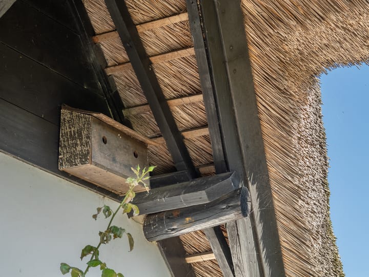 Foto 49 van Uilenburgsestraat 49