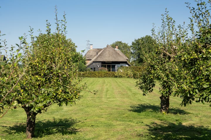 Foto 57 van Uilenburgsestraat 49