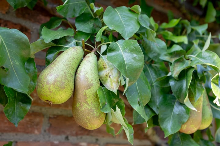 Foto 58 van Uilenburgsestraat 49