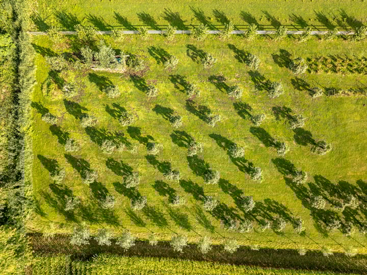 Foto 61 van Uilenburgsestraat 49