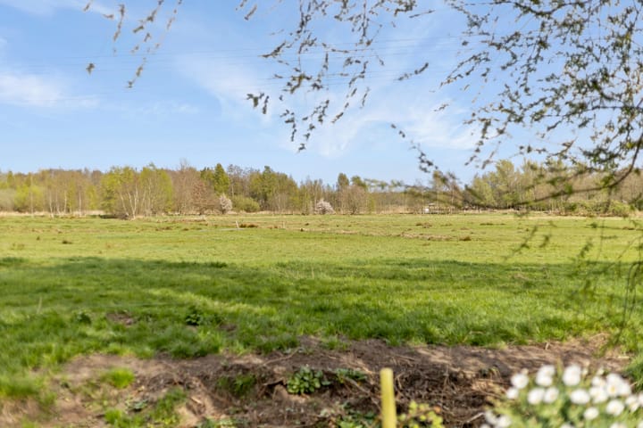 Foto 39 van De Ree 15