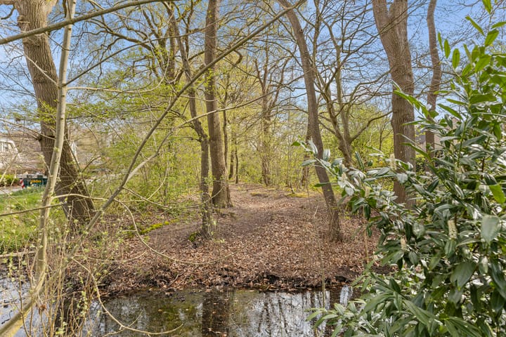 Foto 42 van De Ree 15