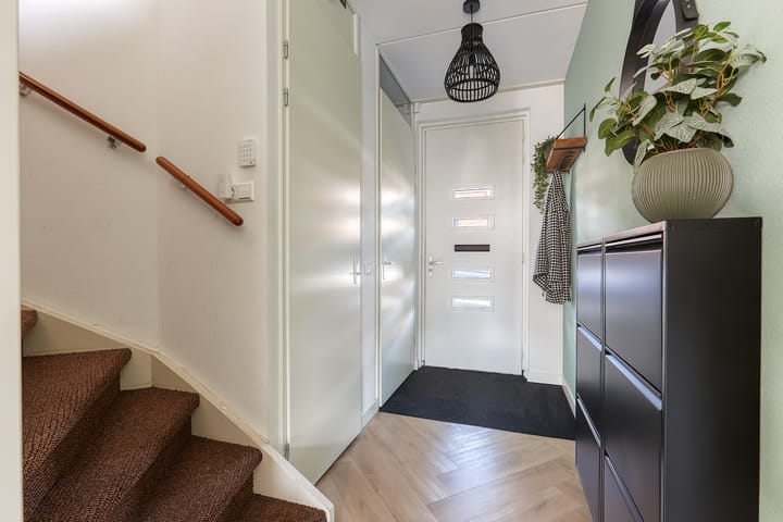 Photo 12 of Bosmuiszoom 25