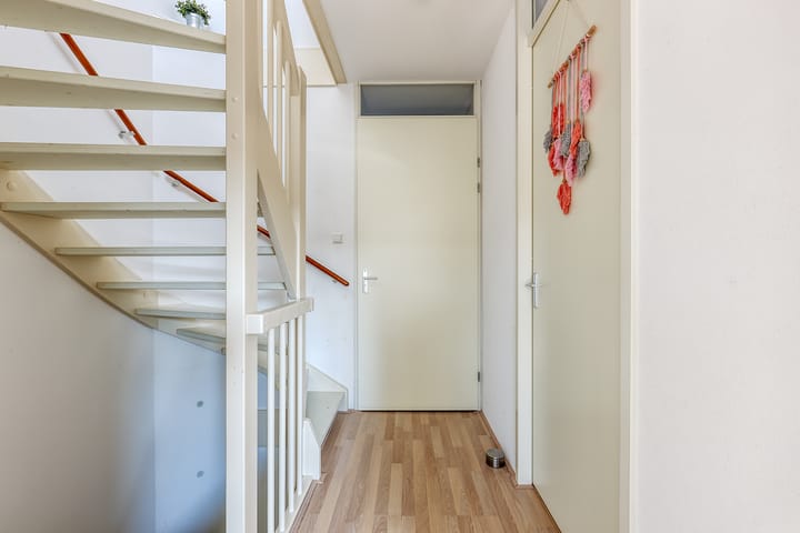 Photo 14 of Bosmuiszoom 25