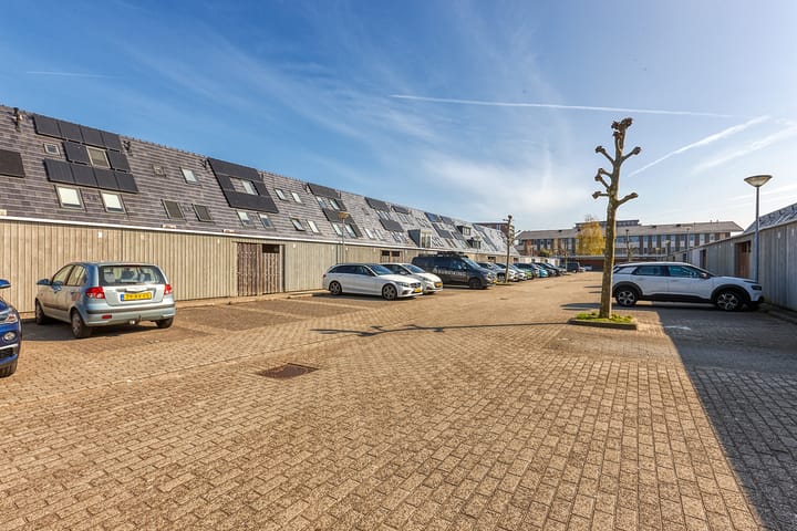 Photo 32 of Bosmuiszoom 25