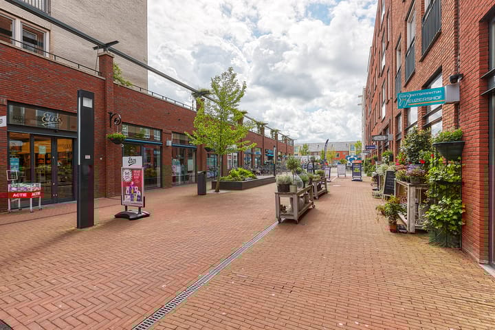 Photo 37 of Bosmuiszoom 25