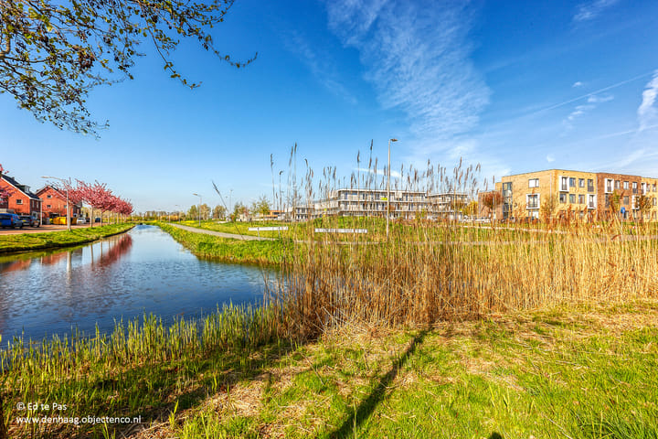 Photo 39 of Bosmuiszoom 25