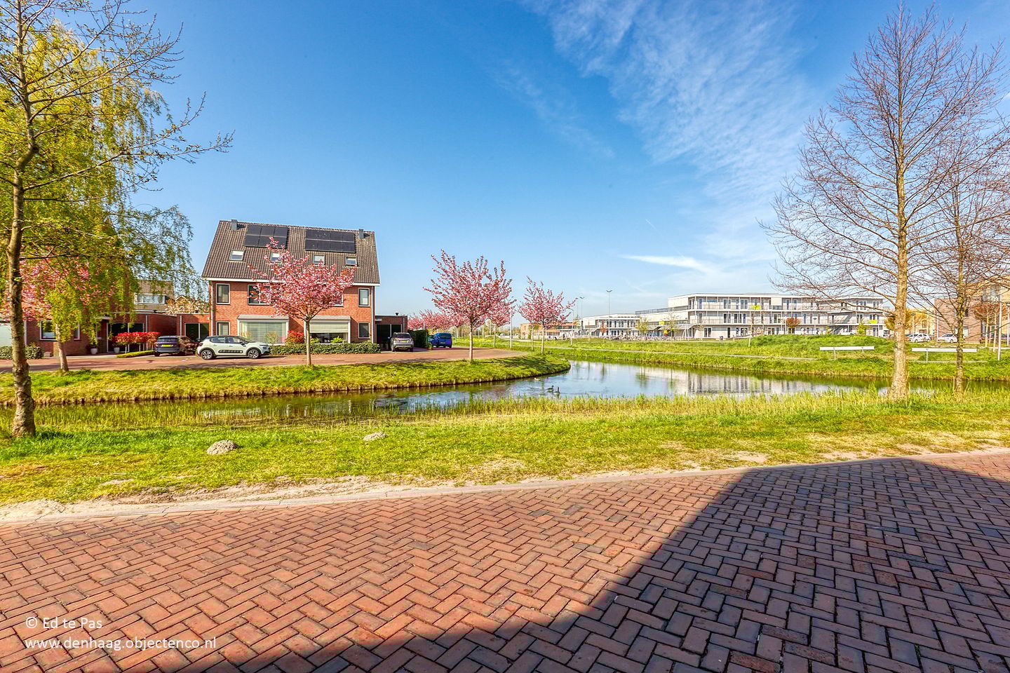 Foto 40 van Bosmuiszoom 25