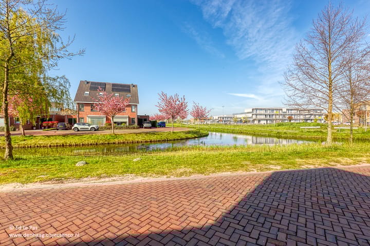 Photo 40 of Bosmuiszoom 25