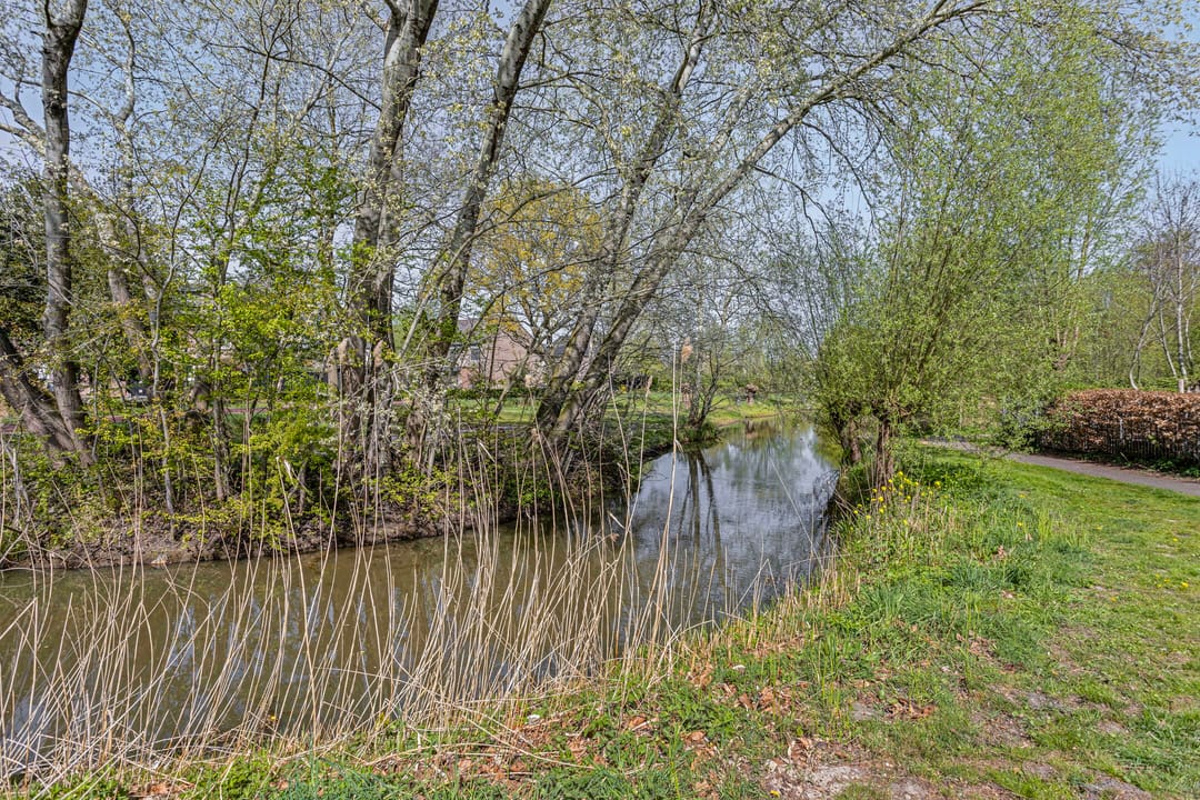 Foto 47 van Ripaertsbeemd 29