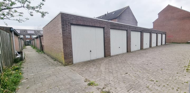 Foto 1 van Grote Beer