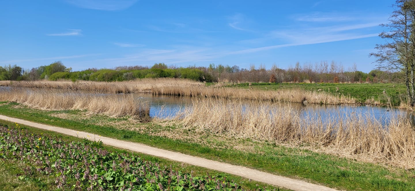 Foto 4 van Lindeweg 122