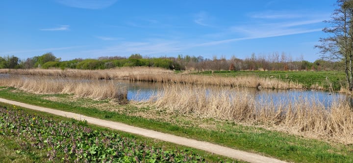 Foto 4 van Lindeweg 122