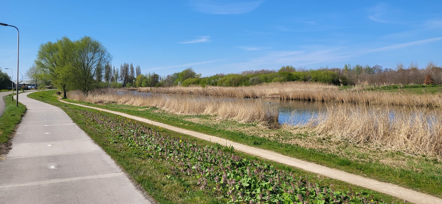 Foto 29 van Lindeweg 122