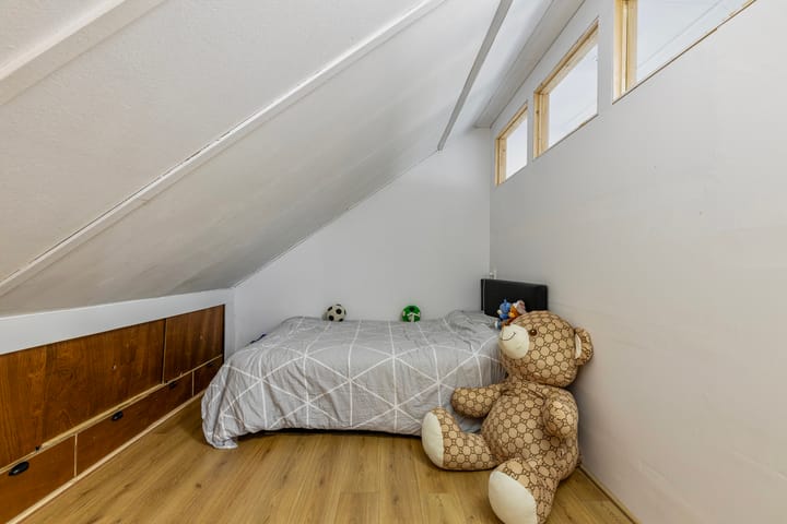 Foto 35 van Nieuwe Tijningen 85