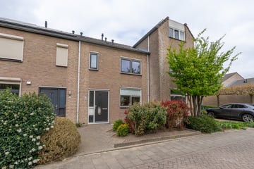 Meester Boutenstraat thumbnail