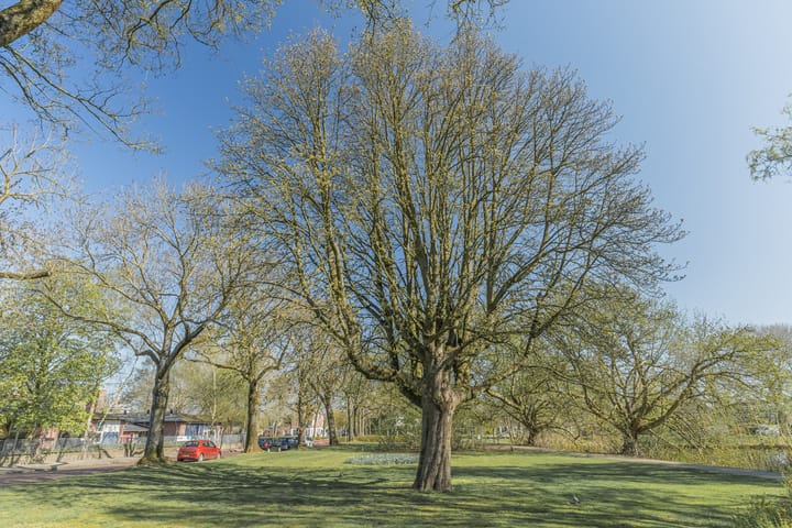 Foto 49 van Dionysius de Karthuizerstraat 42