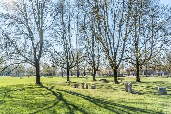 Foto 50 van Dionysius de Karthuizerstraat 42