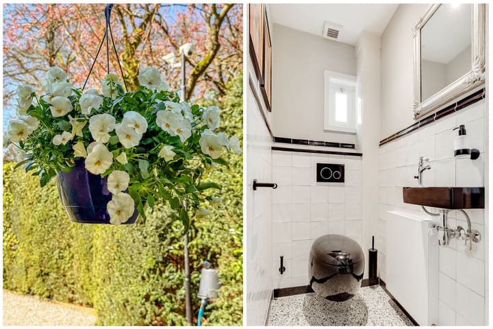 Foto 21 van Ruysdaellaan 6